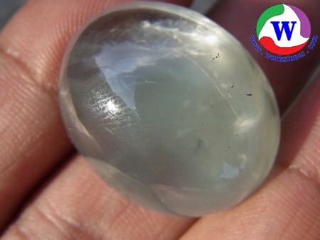 ٻҾ2 ͧԹ : 52.00 ѵ ǾسտҤͺԹ