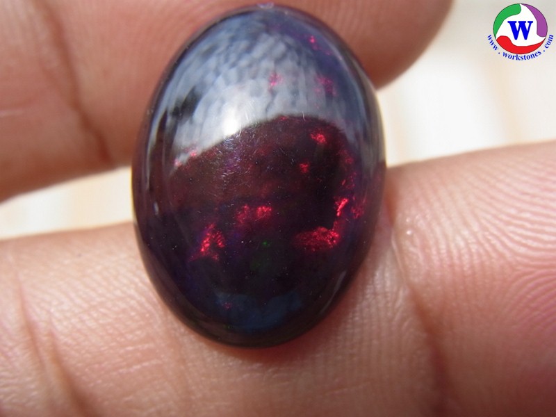 ٻҾ2 ͧԹ : 9.70 ѵ Black Opal Ѵ»С 5  ;ᴧ