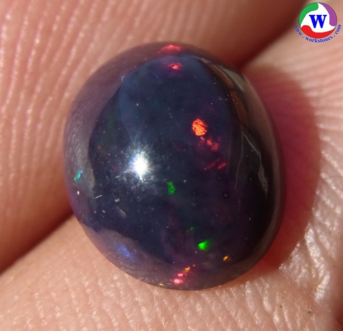 ٻҾ2 ͧԹ : ͻŴ 1.30 ѵ Black Opal Ѵ»Сᴧ  ;ᴧ