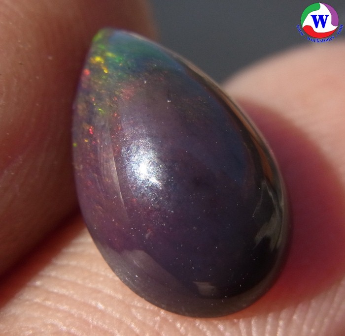 ٻҾ2 ͧԹ : ͻŴ 1.80 ѵ Black Opal Ѵ»Сǧ ᴧ ;ᴧ