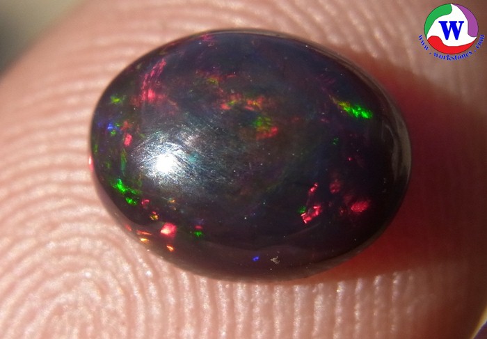 ٻҾ2 ͧԹ : ͻŴ 1.10 ѵ Black Opal Ѵ»С ;շͧ