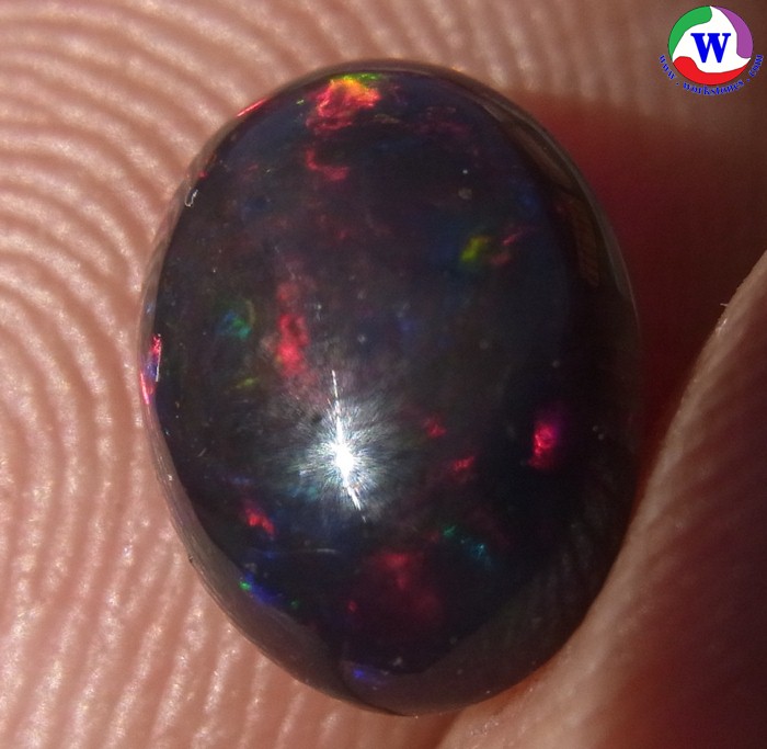 ٻҾ3 ͧԹ : ͻŴ 1.10 ѵ Black Opal Ѵ»С ;շͧ