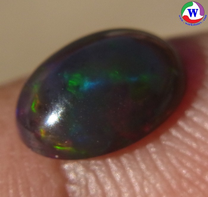 ٻҾ3 ͧԹ : ͻŴ 0.95 ѵ Black Opal Ѵ»С蹷ͧͧ ;ͧ