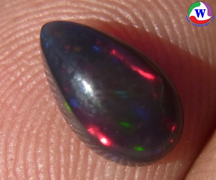 ٻҾ3 ͧԹ : ͻŴ 1.00 ѵ Black Opal Ѵ»Сᴧ ;