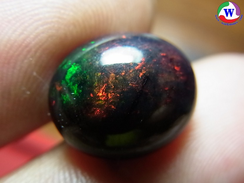 ٻҾ4 ͧԹ : 6.05 ѵ Black Opal Ѵ»С 6  ;ᴧ