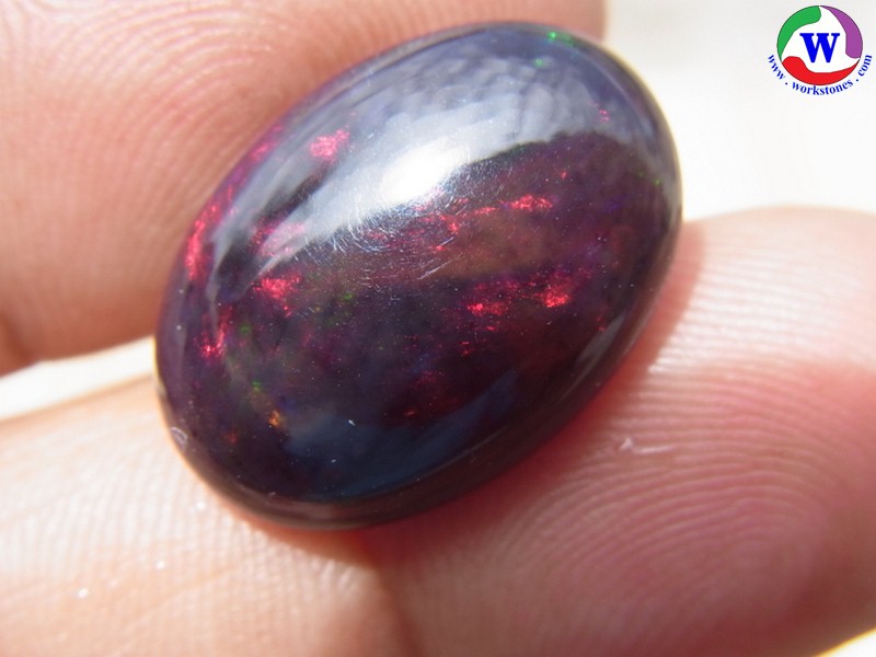 ٻҾ4 ͧԹ : 9.70 ѵ Black Opal Ѵ»С 5  ;ᴧ