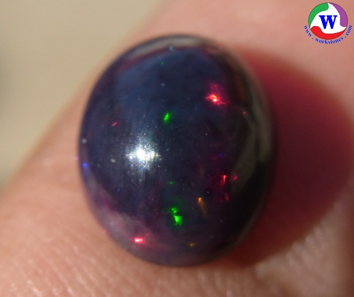 ٻҾ4 ͧԹ : ͻŴ 1.30 ѵ Black Opal Ѵ»Сᴧ  ;ᴧ