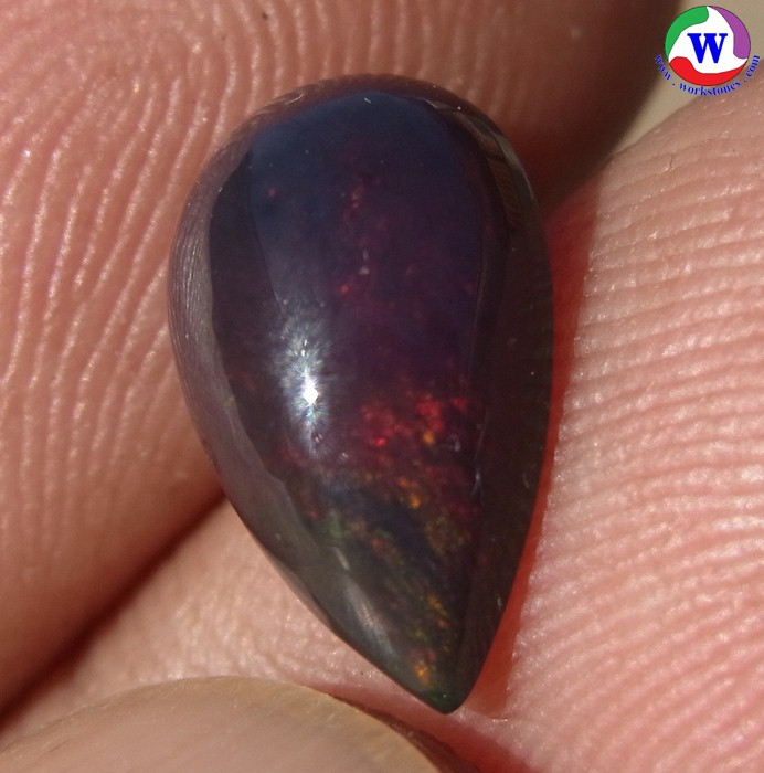 ٻҾ4 ͧԹ : ͻŴ 1.80 ѵ Black Opal Ѵ»Сǧ ᴧ ;ᴧ