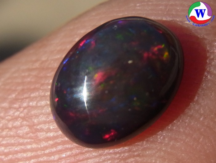 ٻҾ4 ͧԹ : ͻŴ 1.10 ѵ Black Opal Ѵ»С ;շͧ