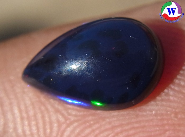 ٻҾ4 ͧԹ : ͻŴ 1.65 ѵ Black Opal Ѵ»С蹹Թ ;ᴧ