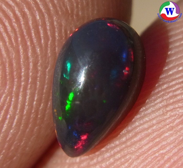 ٻҾ4 ͧԹ : ͻŴ 1.00 ѵ Black Opal Ѵ»Сᴧ ;