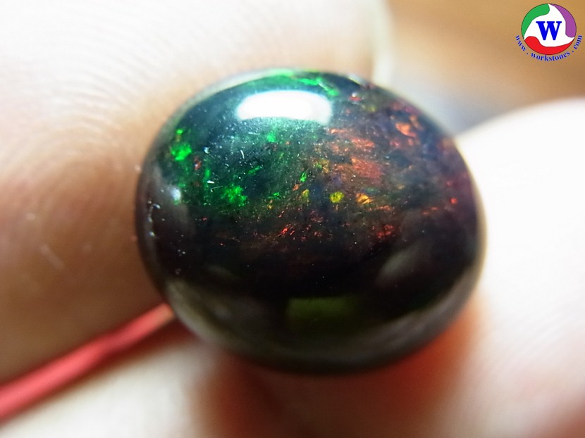 ٻҾ5 ͧԹ : 6.05 ѵ Black Opal Ѵ»С 6  ;ᴧ