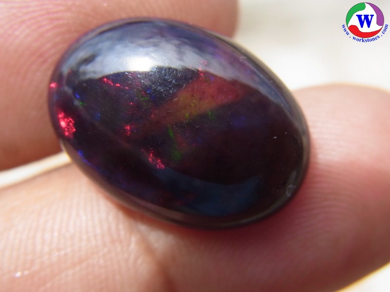 ٻҾ5 ͧԹ : 9.70 ѵ Black Opal Ѵ»С 5  ;ᴧ