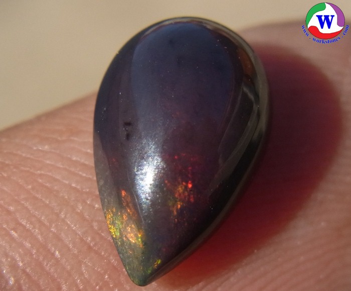 ٻҾ5 ͧԹ : ͻŴ 1.80 ѵ Black Opal Ѵ»Сǧ ᴧ ;ᴧ