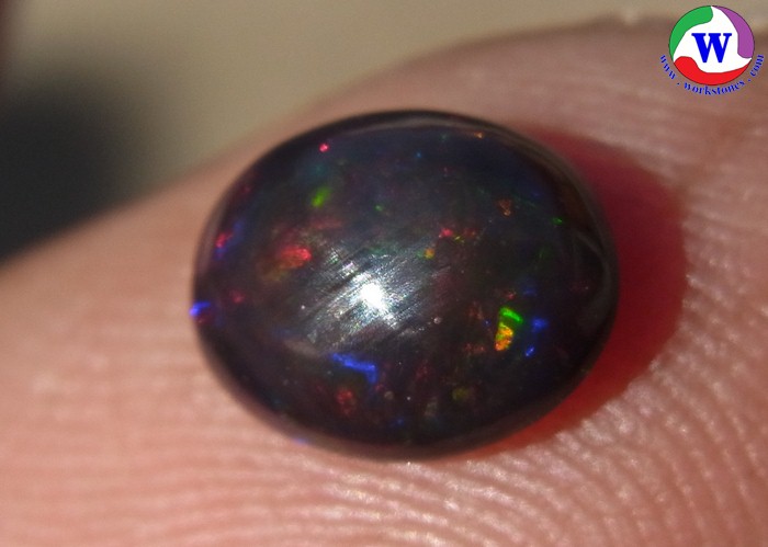 ٻҾ5 ͧԹ : ͻŴ 1.10 ѵ Black Opal Ѵ»С ;շͧ