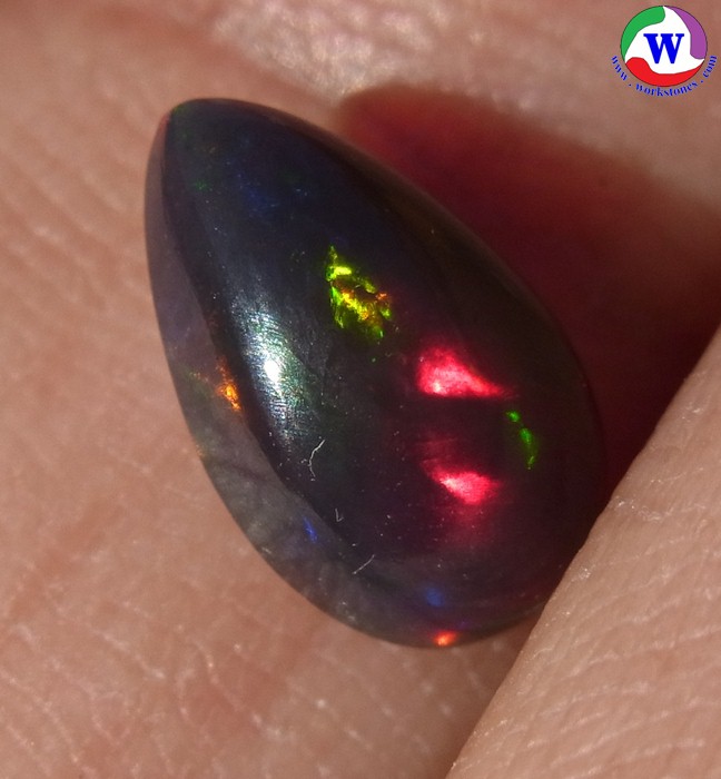 ٻҾ5 ͧԹ : ͻŴ 1.00 ѵ Black Opal Ѵ»Сᴧ ;