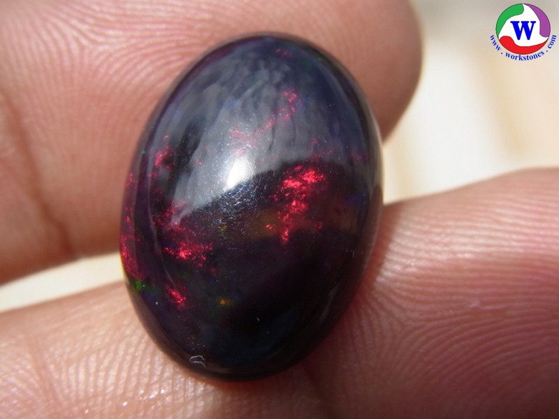 ٻҾ6 ͧԹ : 9.70 ѵ Black Opal Ѵ»С 5  ;ᴧ