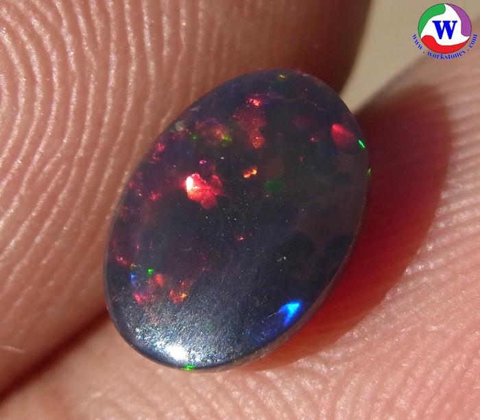 ٻҾ6 ͧԹ : ͻŴ 1.10 ѵ Black Opal Ѵ»С ;շͧ