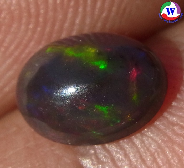 ٻҾ6 ͧԹ : ͻŴ 0.95 ѵ Black Opal Ѵ»С蹷ͧͧ ;ͧ