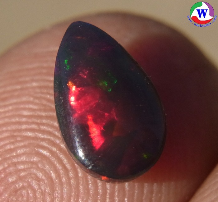 ٻҾ6 ͧԹ : ͻŴ 1.00 ѵ Black Opal Ѵ»Сᴧ ;